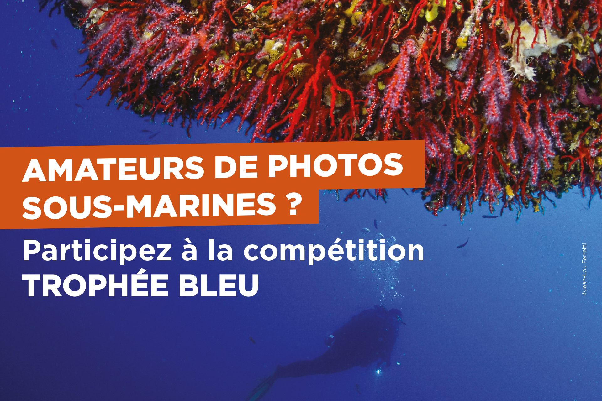Amateurs de photos sous-marines ? Participez à la compétition 'Trophée bleu' ! (1/1)