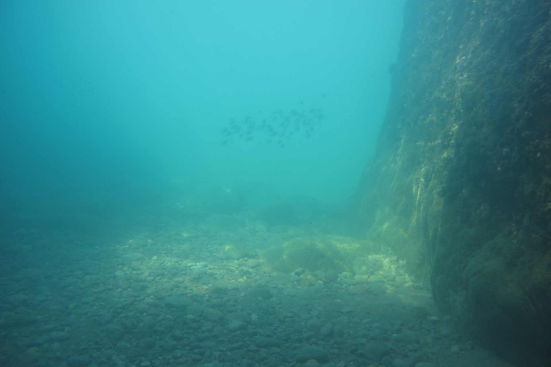Randonnée palmée handisub à la découverte du sentier sous-marin de la Pointe de l’Aiguille du Parc maritime départemental Estérel-Théoule
