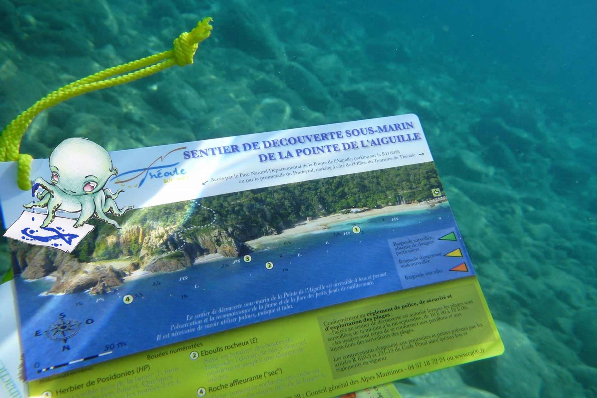 Programme de Science participative au service de la faune et de la flore sous-marine du Parc maritime départemental Estérel-Théoule