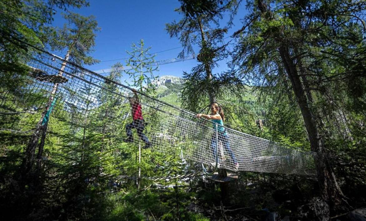 Accrobranche Colmiane 