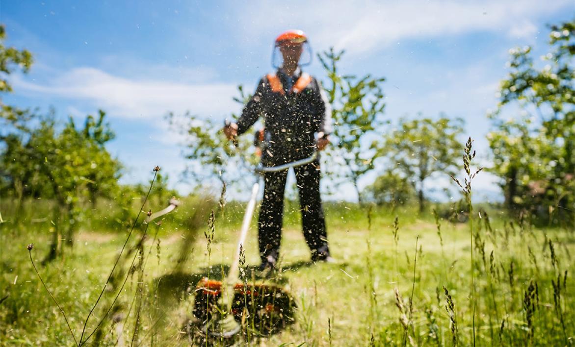 Homme qui débroussaille.