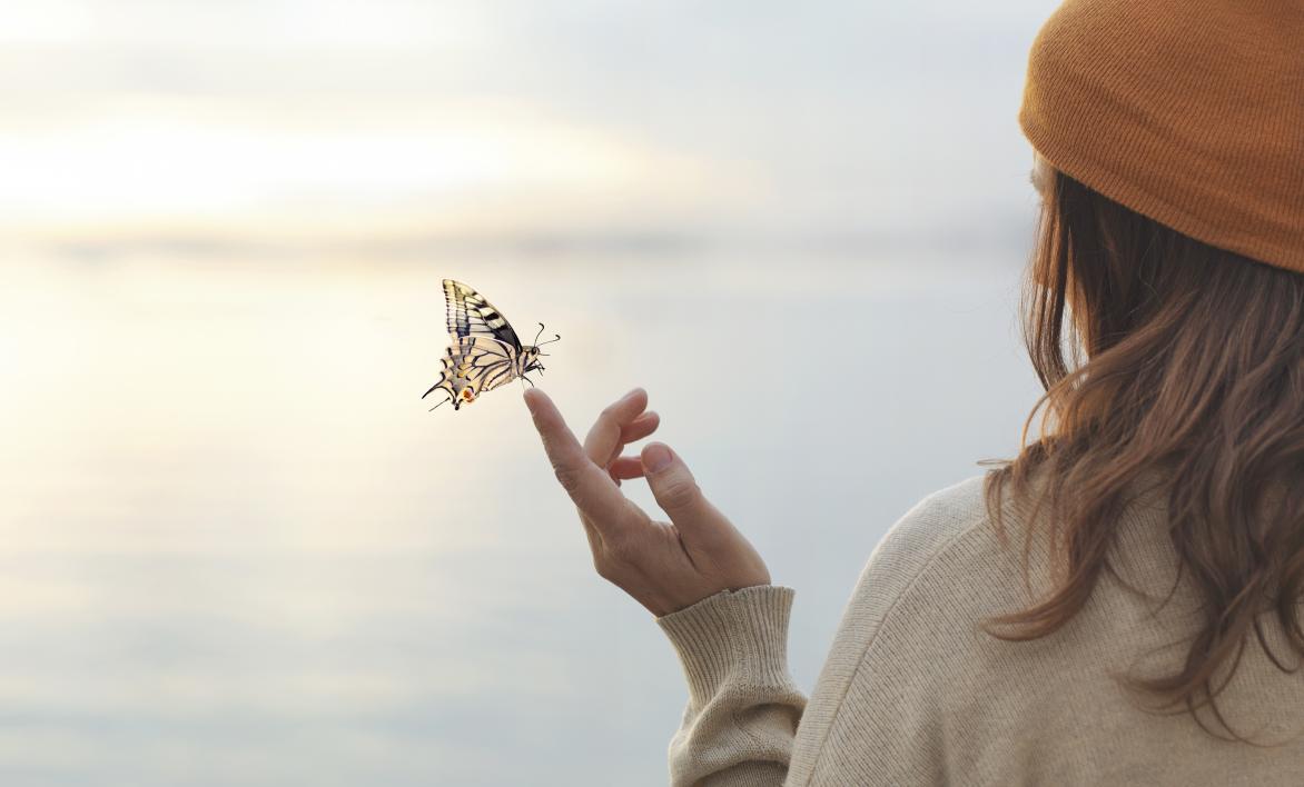 Qu’est-ce que le pacte Lucia?