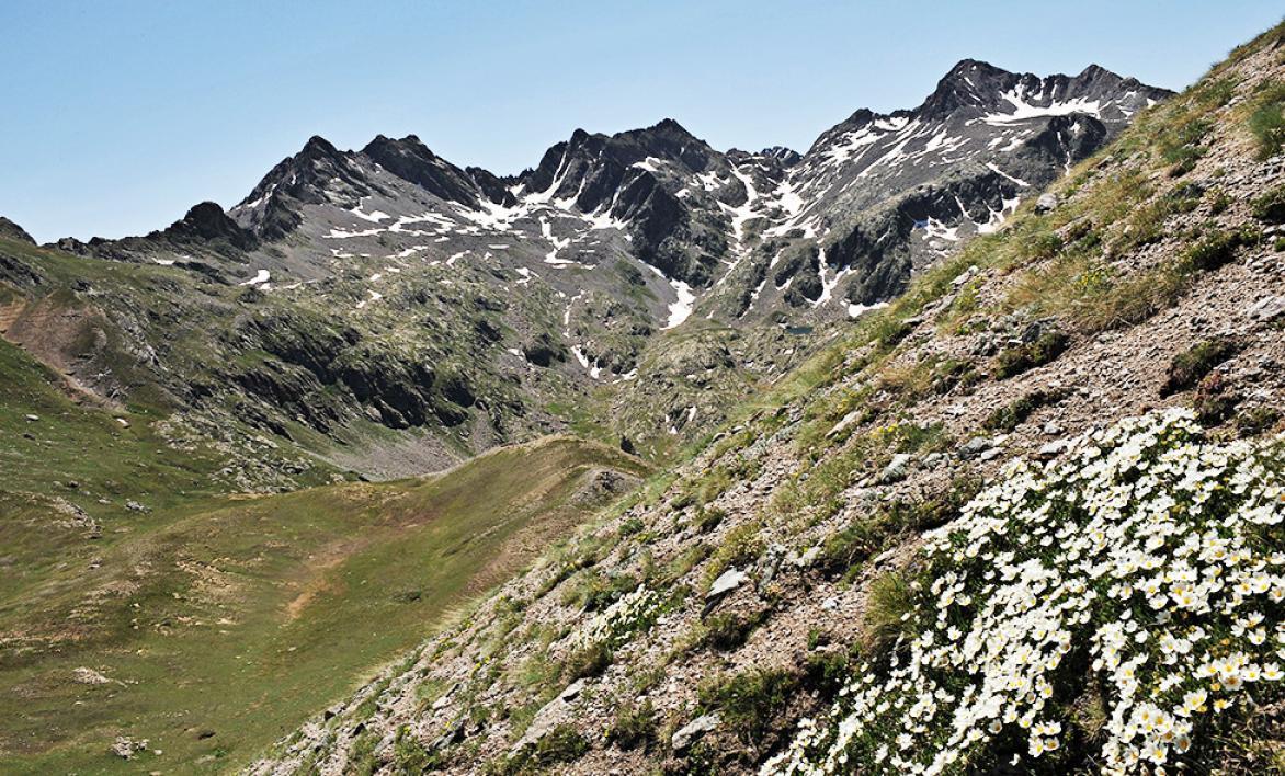 Parc Naturel Régional des Préalpes d'Azur