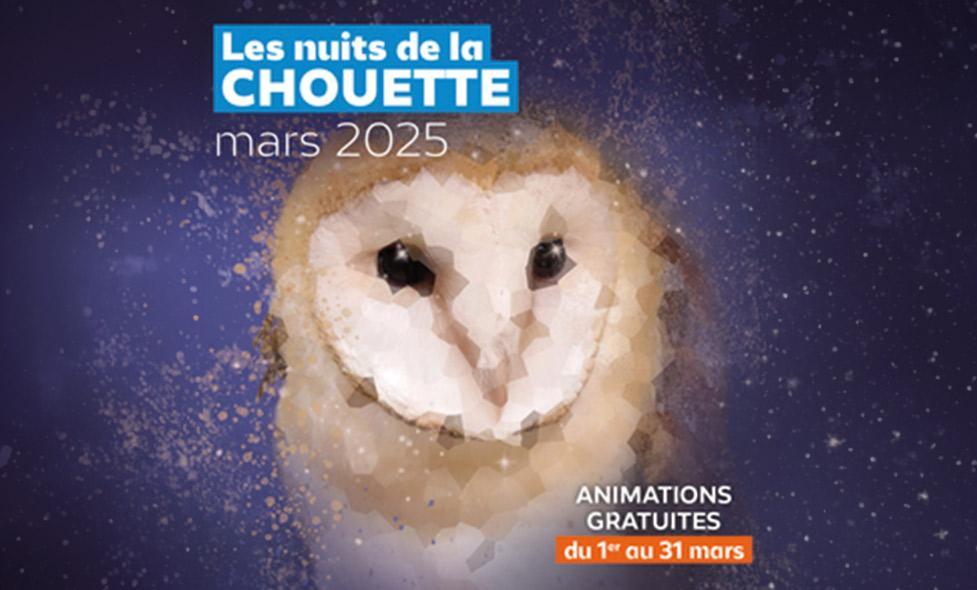 La 16e édition de la nuit de la Chouette au Parc de l’Estérel