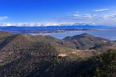 Espèces des Alpes-Maritimes