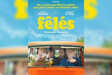 Affiche film fêlés