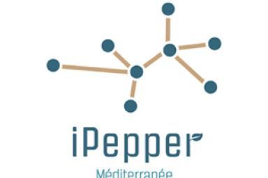 iPepper - Agrandir l'image, fenêtre modale