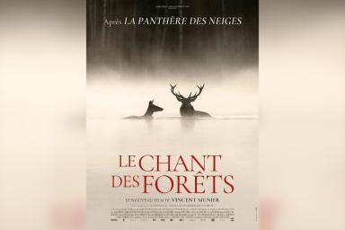 Le Chant des forêts