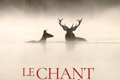 Le Chant des forêts