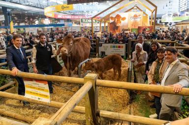 SIA 2025 - Agrandir l'image, fenêtre modale