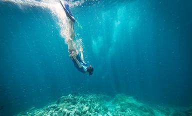 Découverte des fonds marins - Agrandir l'image, fenêtre modale