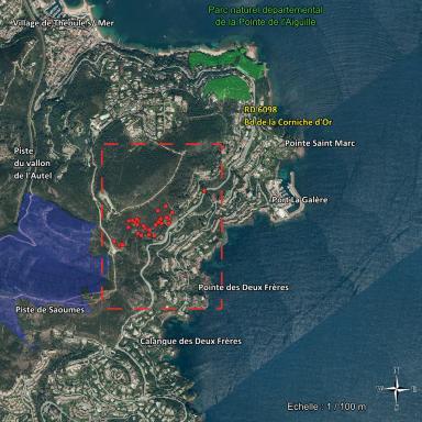 Hakéa Soyeux - Le trouver - Agrandir l'image, fenêtre modale