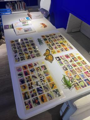 Atelier Pacte Nature Lucia - Agrandir l'image, fenêtre modale