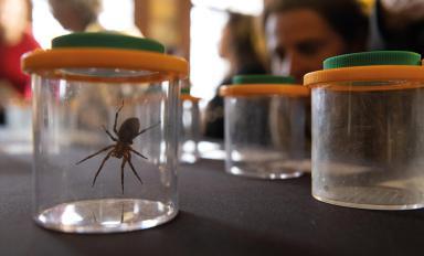 Atelier Pacte Nature Lucia - Agrandir l'image, fenêtre modale