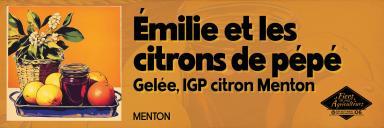 Emilie et les citrons de pépé - Agrandir l'image, fenêtre modale