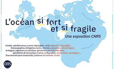 Exposition L’Océan, si fort et si fragile - Agrandir l'image, fenêtre modale