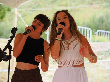 Folies des lacs - Agrandir l'image, fenêtre modale