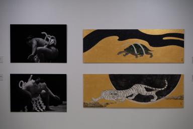 Agrandir l'image, fenêtre modale