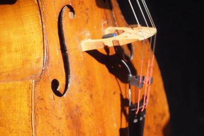 Félicien brut, Edouard Macarez et Sandro compagnon - C'est pas Classique - Agrandir l'image 53 sur 71, fenêtre modale