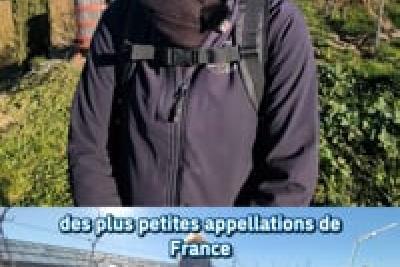 Carine DALMASSO - Viticultrice - Domaine de la Source Vins de Bellet - Nice - Lire la vidéo 5 sur 16, fenêtre modale