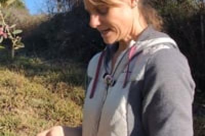 Annette LE NEGRATE - Oléicultrice - Domaine de Piechal - Châteauneuf-Grasse - Lire la vidéo 13 sur 16, fenêtre modale