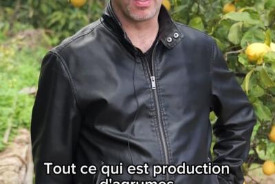 Maison Lanteri agrumes et saveurs - Nicolas Lanteri - Lire la vidéo 8 sur 25, fenêtre modale