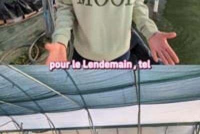 Lucile RAMPI - Productrice de spiruline - Spiruline du Comté de Nice - Levens - Lire la vidéo 4 sur 16, fenêtre modale