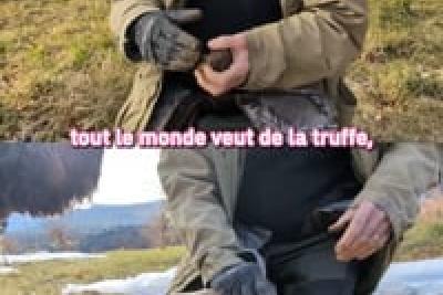 Michel SANTINELLI - Trufficulteur - Syndicat départemental des trufficulteurs - Le Rouret - Lire la vidéo 2 sur 16, fenêtre modale