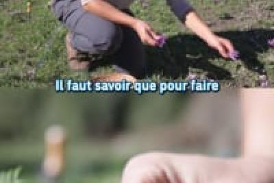 Romane SATTAMINO - Productrice de safran - Les Ailes rouges - Pierlas - Lire la vidéo 3 sur 16, fenêtre modale