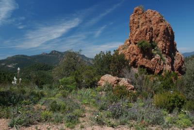 Parc de l'Esterel - Agrandir l'image 3 sur 5, fenêtre modale
