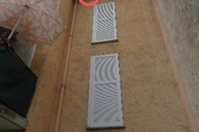 Nid Frelon asiatique Clans - Agrandir l'image 1 sur 3, fenêtre modale