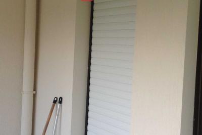 Début nid frelon asiatique - Agrandir l'image 3 sur 8, fenêtre modale