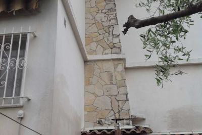 Début nid frelon asiatique - Agrandir l'image 6 sur 8, fenêtre modale