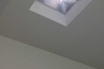 Nid frelon asiatique - Agrandir l'image 10 sur 12, fenêtre modale