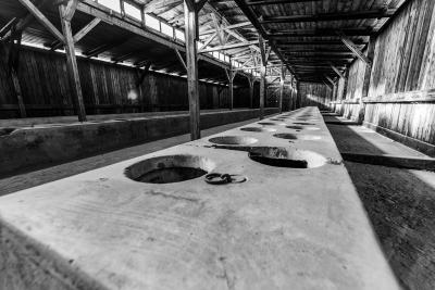 2019 - Voyages de la Mémoire - Auschwitz - Agrandir l'image 16 sur 16, fenêtre modale