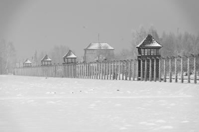 2019 - Voyages de la Mémoire - Auschwitz - Agrandir l'image 1 sur 16, fenêtre modale