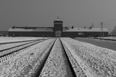 2019 - Voyages de la Mémoire - Auschwitz - Agrandir l'image 4 sur 16, fenêtre modale