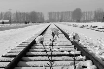 2019 - Voyages de la Mémoire - Auschwitz - Agrandir l'image 5 sur 16, fenêtre modale