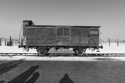 2019 - Voyages de la Mémoire - Auschwitz - Agrandir l'image 9 sur 16, fenêtre modale