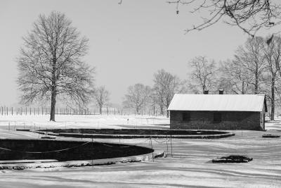 2019 - Voyages de la Mémoire - Auschwitz - Agrandir l'image 7 sur 16, fenêtre modale