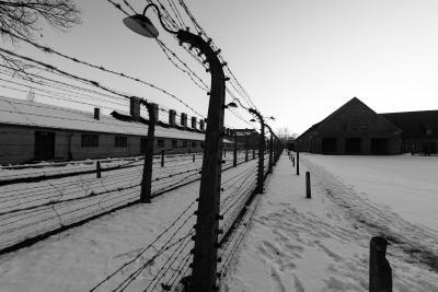 2019 - Voyages de la Mémoire - Auschwitz - Agrandir l'image 12 sur 16, fenêtre modale