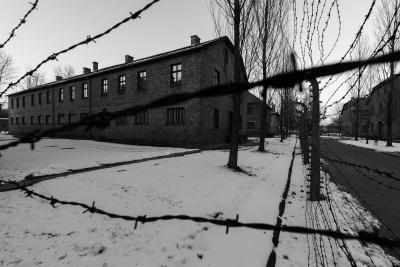 2019 - Voyages de la Mémoire - Auschwitz - Agrandir l'image 14 sur 16, fenêtre modale
