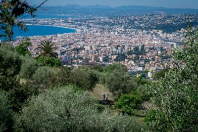 Parc du vinaigrier - Agrandir l'image 1 sur 5, fenêtre modale