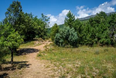 Parc de Roquevignon - Agrandir l'image 4 sur 5, fenêtre modale