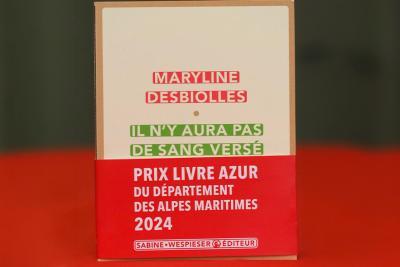 Agrandir l'image 1 sur 3, fenêtre modale