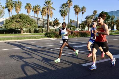 Agrandir l'image 13 sur 28, fenêtre modale