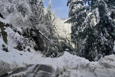 Route barrée par un éboulement suite à des chutes de neige. - Agrandir l'image 2 sur 5, fenêtre modale