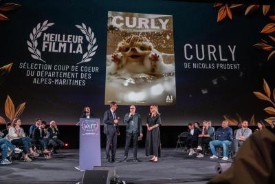 WAiFF 2025 - Agrandir l'image 8 sur 9, fenêtre modale