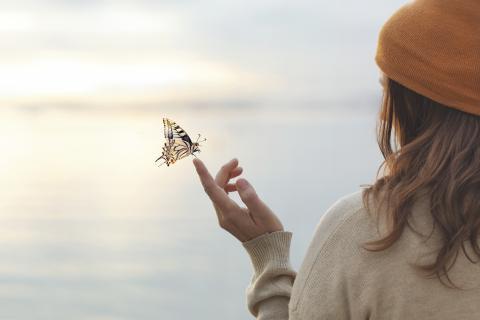 Qu’est-ce que le pacte Lucia?