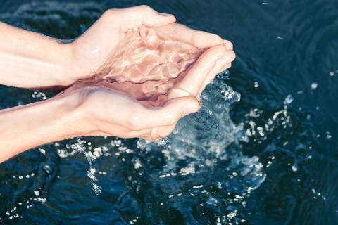Des mains dans de l'eau.